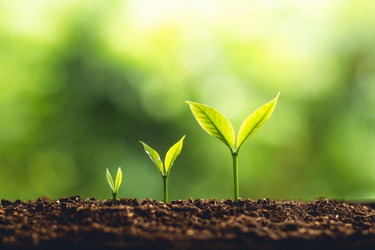 Investing in Your 30s, 40s and 50s: What to Prioritise at Each Stage